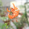 facebook・Instagramカスタマーリスト