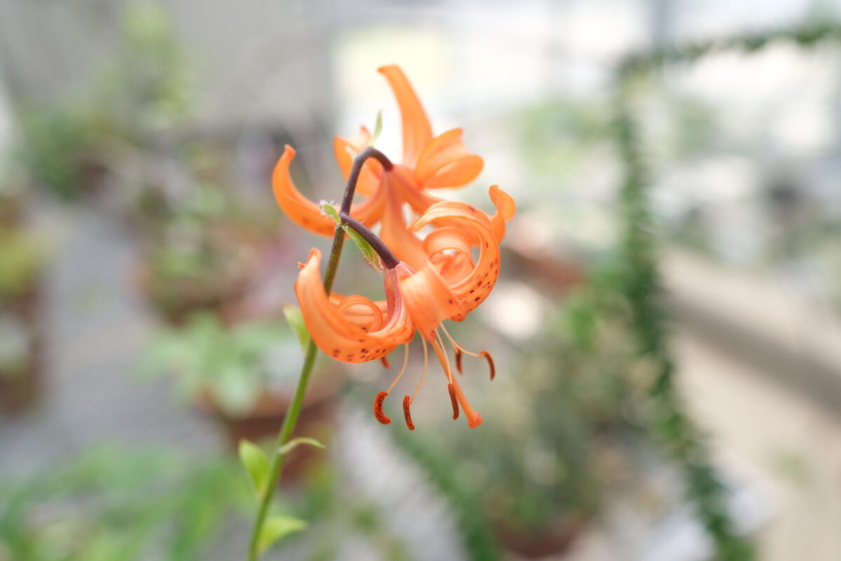 facebook・Instagramカスタマーリスト